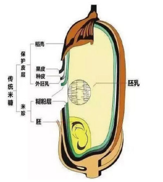 <b>大米怎么选购？ta还有这些妙用丨世界粮食日</b>