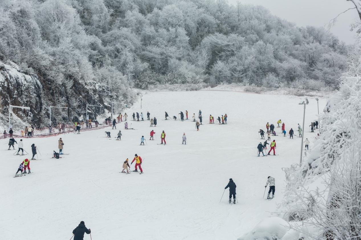 开板！又到一年冰雪季，元旦小长假去绵阳九皇山感受冰雪魅力